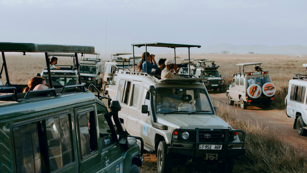 Serengeti, Tanzania