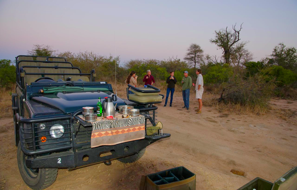 Best African Safari Destinations to Visit This Year