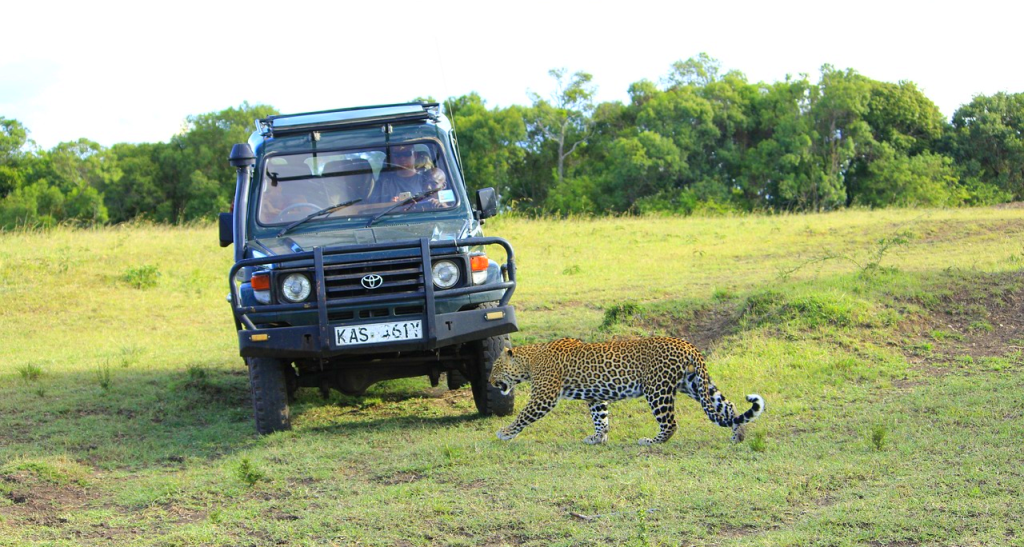 Maasai Mara Kenya