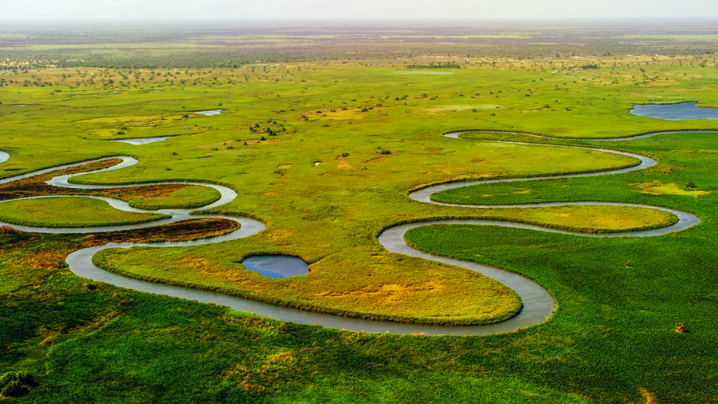 The BEST Okavango Delta Cruises & boat tours 2025