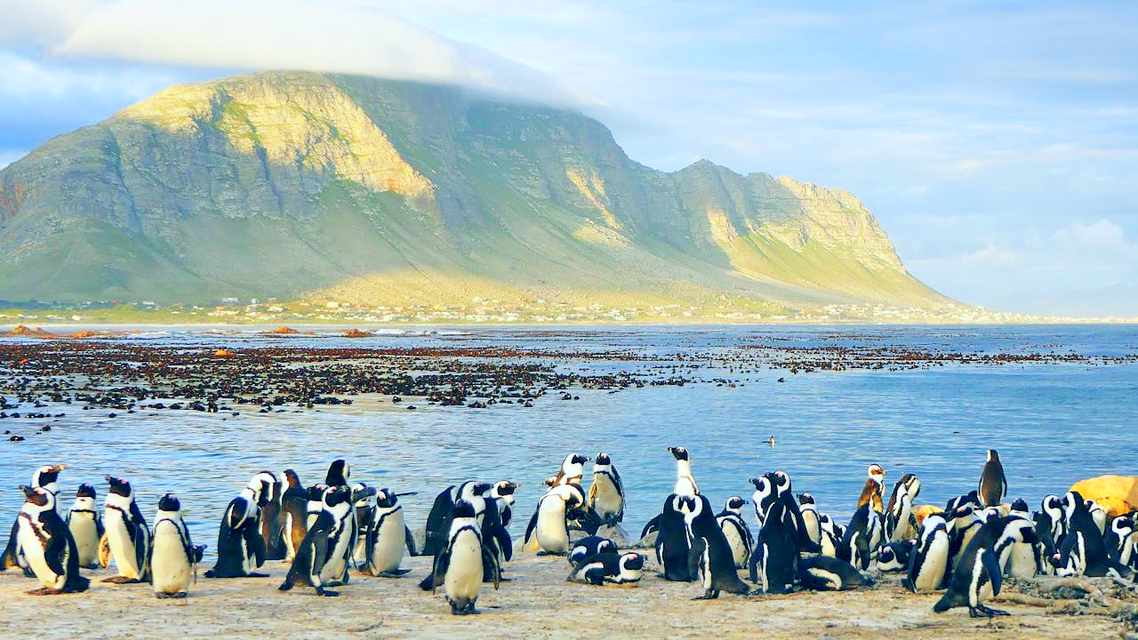 Best Places to Visit in South Africa on Vacation