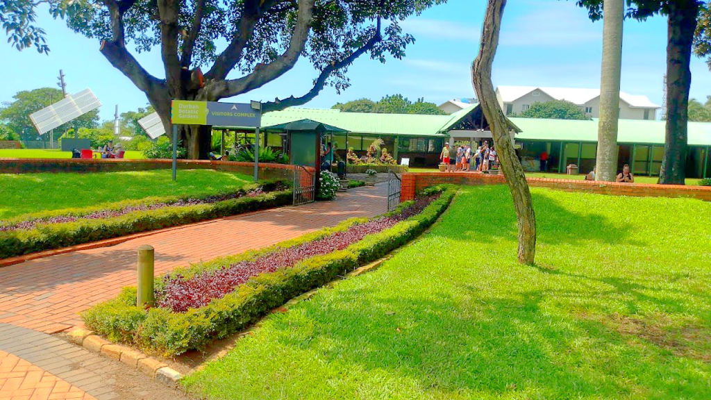 Durban Botanic Gardens: The Best Relaxing Place in Durban