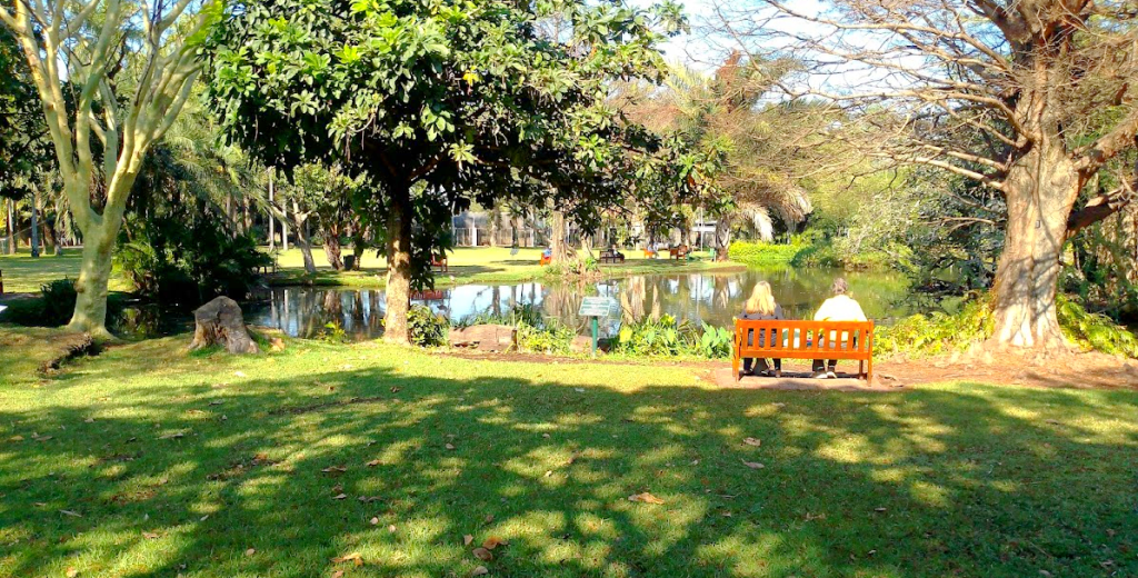 Durban Botanic Gardens: The Best Relaxing Place in Durban