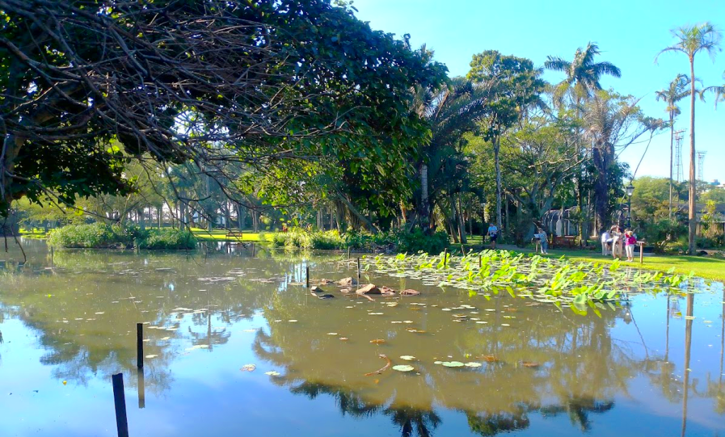 Durban Botanic Gardens: The Best Relaxing Place in Durban