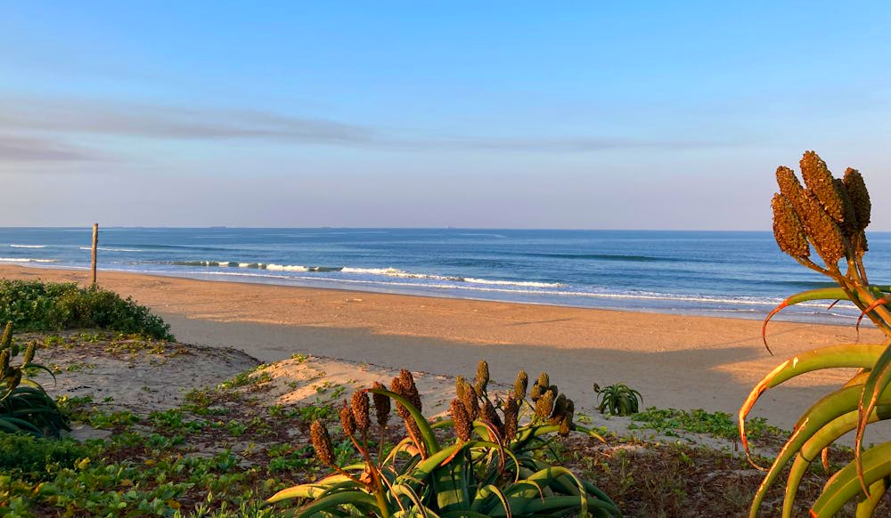 Ansteys Beach