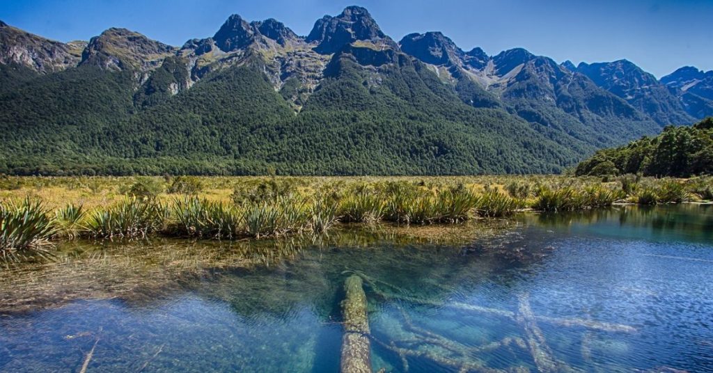new zealand