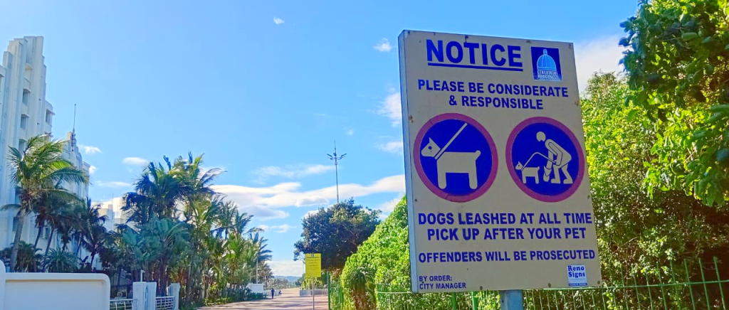 Best Beaches In Durban For Swimming You Should Visit