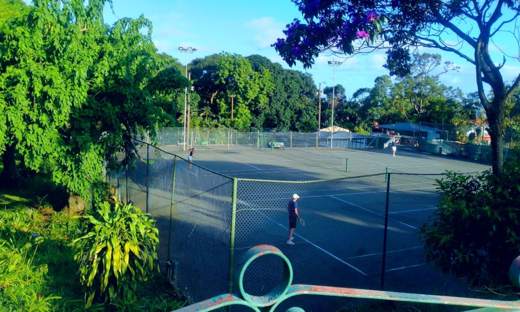 mitchel park 