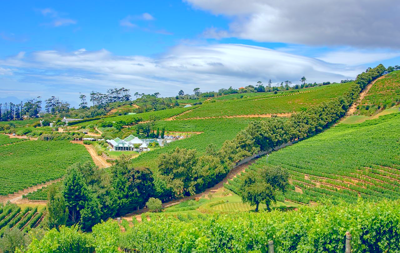 Best Wineries In South Africa You Should Not Miss