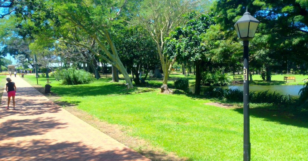 trave in durban