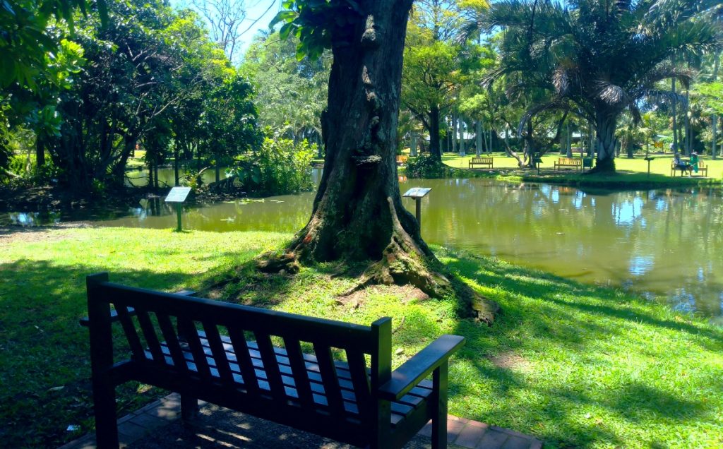 Durban Botanic Gardens