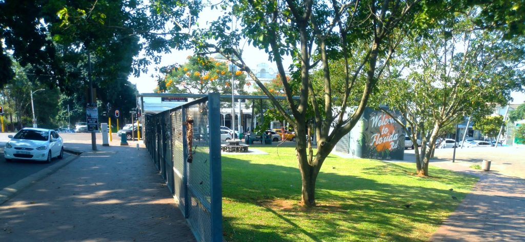 Florida Road Durban: Popular Street in Durban