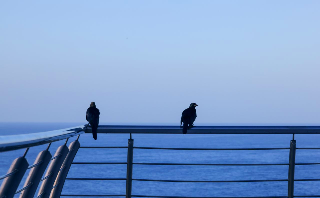 Best seaside Holiday Destination In South Africa