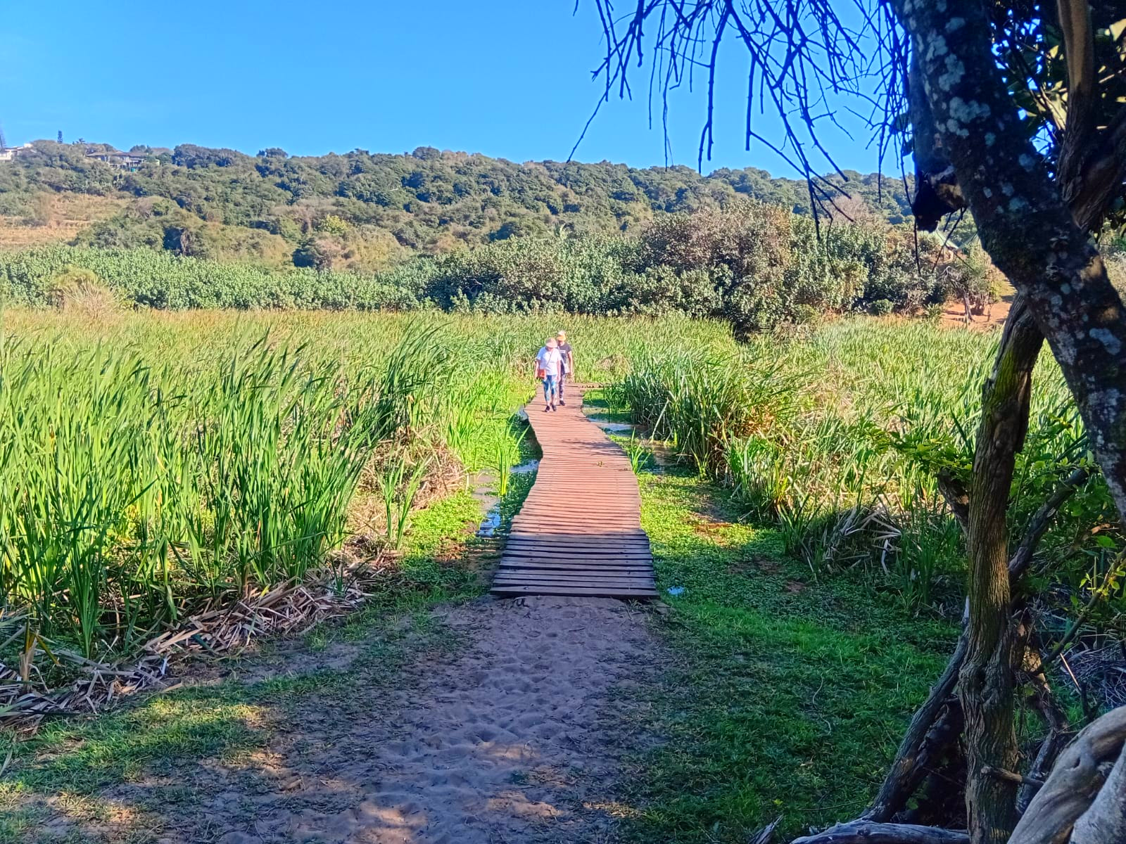 umhlanga