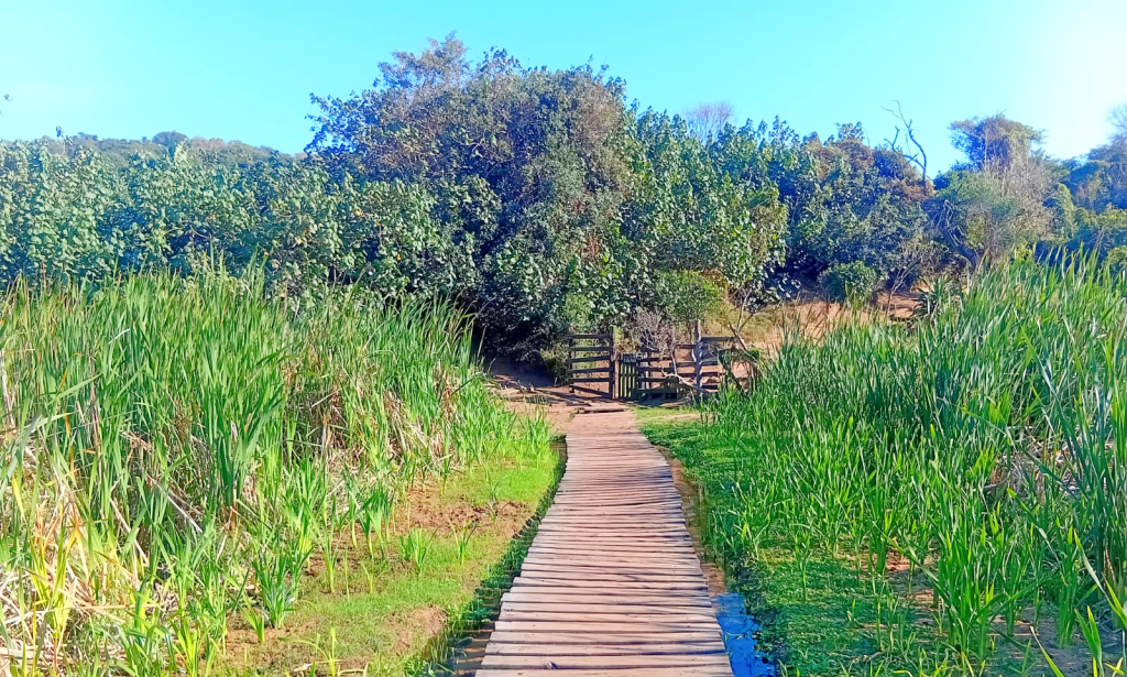 umhlanga 